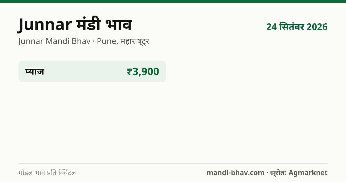 Junnar मंडी भाव 24 सितंबर 2026: फसलवार मोडल रेट प्रति क्विंटल