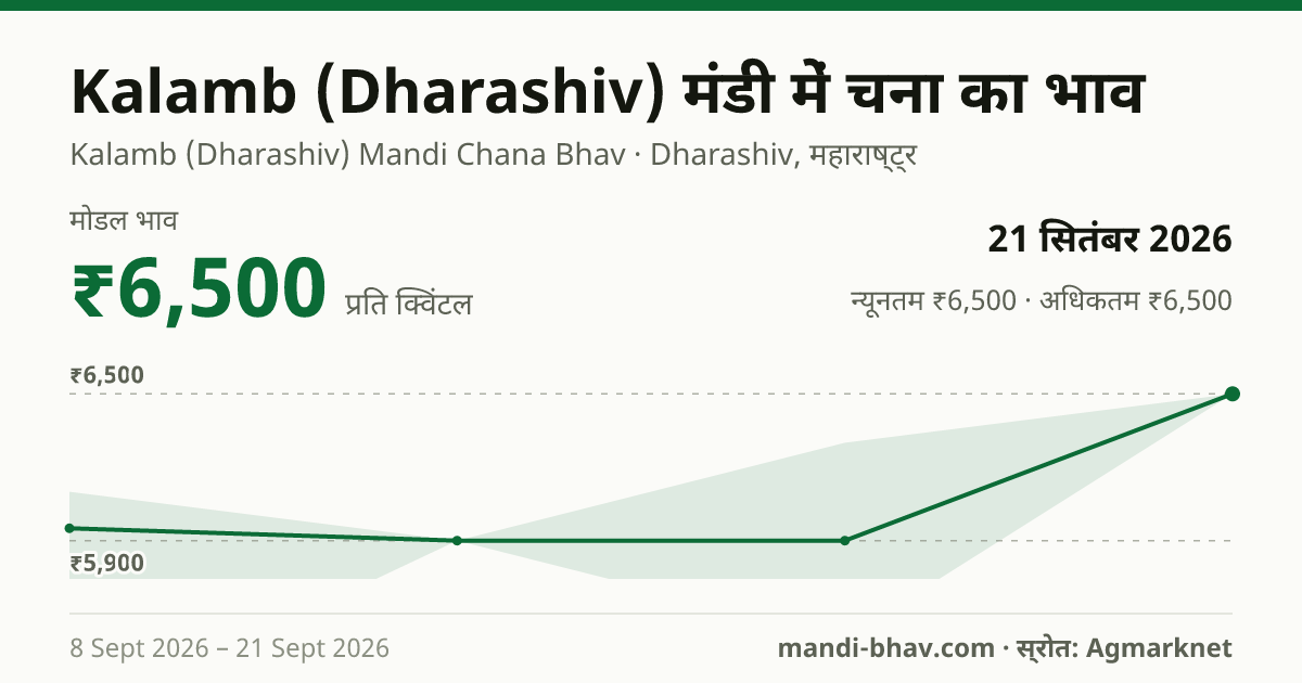 Kalamb (Dharashiv) मंडी में चना का भाव 21 सितंबर 2026: मोडल ₹6,500 प्रति क्विंटल, भाव के रुझान का चार्ट