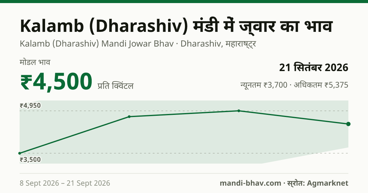 Kalamb (Dharashiv) मंडी में ज्वार का भाव 21 सितंबर 2026: मोडल ₹4,500 प्रति क्विंटल, भाव के रुझान का चार्ट