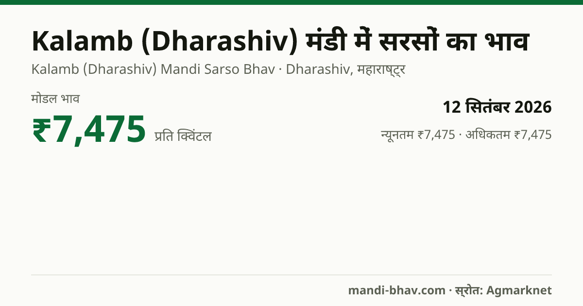 Kalamb (Dharashiv) मंडी में सरसों का भाव 12 सितंबर 2026: मोडल ₹7,475 प्रति क्विंटल, भाव के रुझान का चार्ट