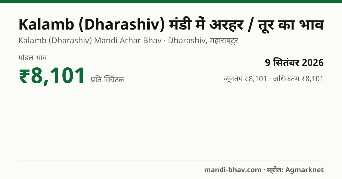 Kalamb (Dharashiv) मंडी में अरहर / तूर का भाव 9 सितंबर 2026: मोडल ₹8,101 प्रति क्विंटल, भाव के रुझान का चार्ट