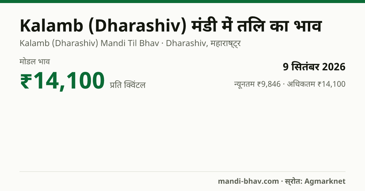 Kalamb (Dharashiv) मंडी में तिल का भाव 9 सितंबर 2026: मोडल ₹14,100 प्रति क्विंटल, भाव के रुझान का चार्ट