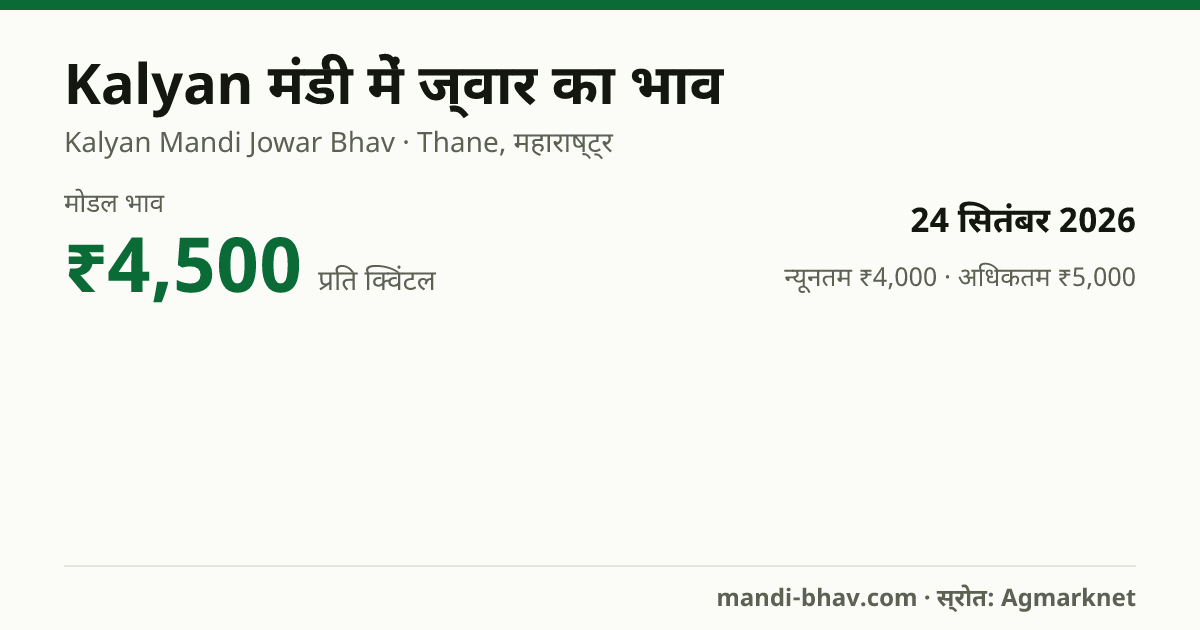 Kalyan मंडी में ज्वार का भाव 24 सितंबर 2026: मोडल ₹4,500 प्रति क्विंटल, भाव के रुझान का चार्ट