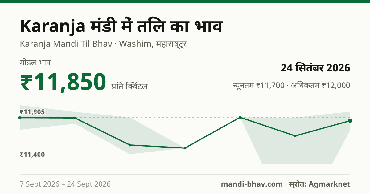 Karanja मंडी में तिल का भाव 24 सितंबर 2026: मोडल ₹11,850 प्रति क्विंटल, भाव के रुझान का चार्ट