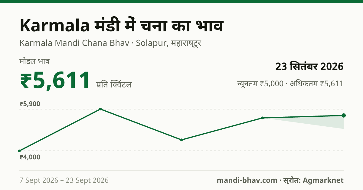Karmala मंडी में चना का भाव 23 सितंबर 2026: मोडल ₹5,611 प्रति क्विंटल, भाव के रुझान का चार्ट