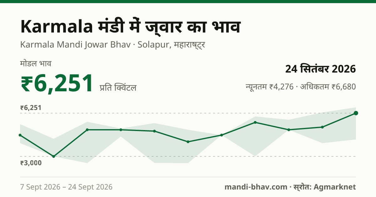 Karmala मंडी में ज्वार का भाव 24 सितंबर 2026: मोडल ₹6,251 प्रति क्विंटल, भाव के रुझान का चार्ट