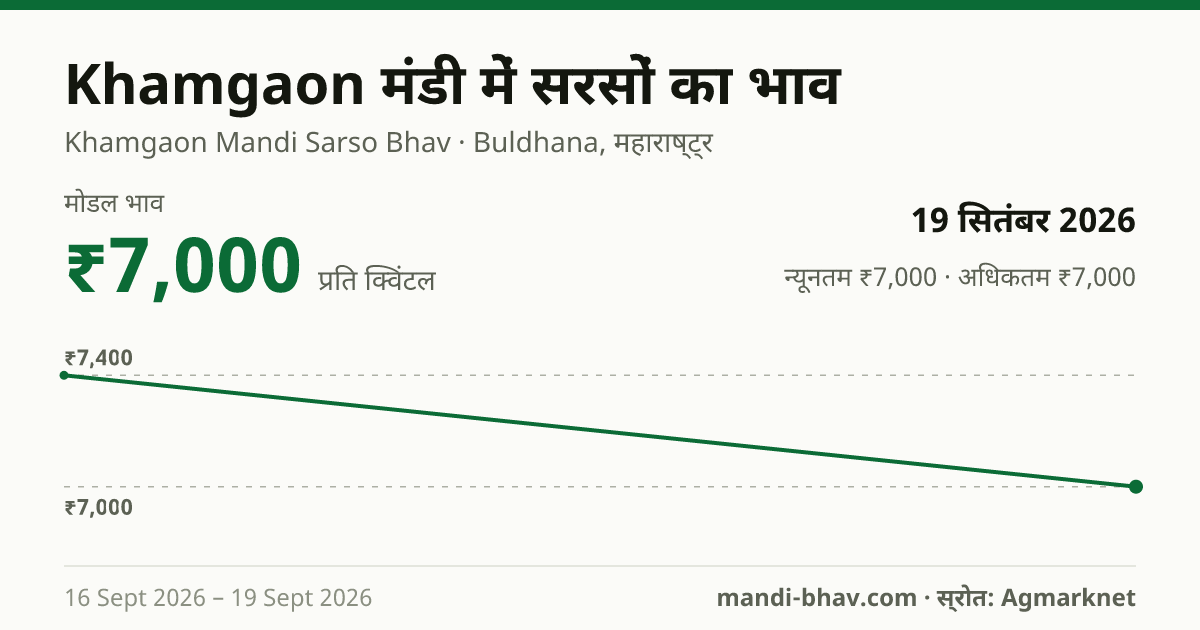 Khamgaon मंडी में सरसों का भाव 19 सितंबर 2026: मोडल ₹7,000 प्रति क्विंटल, भाव के रुझान का चार्ट
