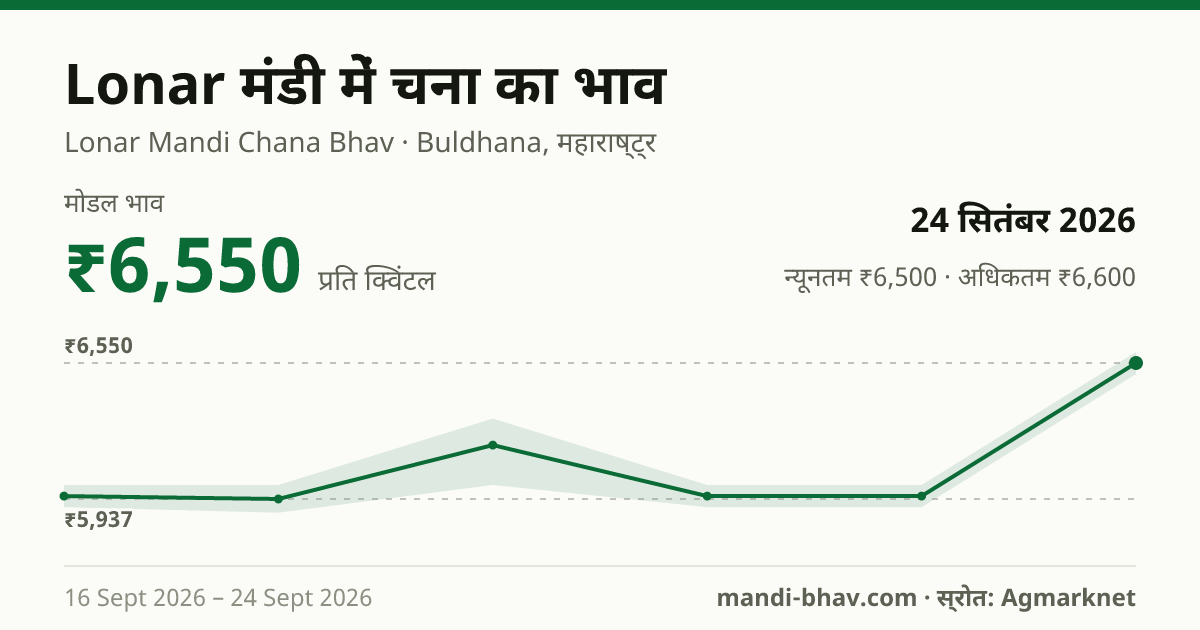 Lonar मंडी में चना का भाव 24 सितंबर 2026: मोडल ₹6,550 प्रति क्विंटल, भाव के रुझान का चार्ट