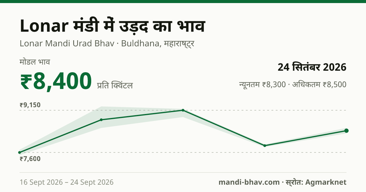 Lonar मंडी में उड़द का भाव 24 सितंबर 2026: मोडल ₹8,400 प्रति क्विंटल, भाव के रुझान का चार्ट