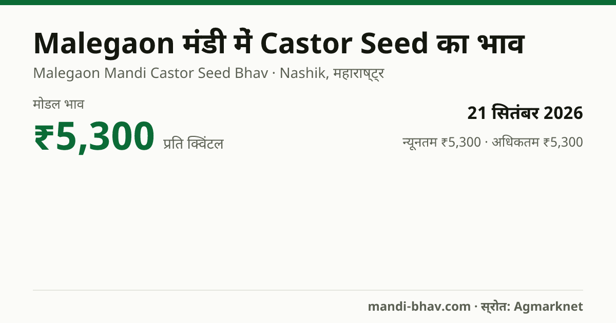 Malegaon मंडी में Castor Seed का भाव 21 सितंबर 2026: मोडल ₹5,300 प्रति क्विंटल, भाव के रुझान का चार्ट
