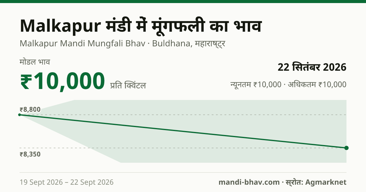 Malkapur मंडी में मूंगफली का भाव 22 सितंबर 2026: मोडल ₹10,000 प्रति क्विंटल, भाव के रुझान का चार्ट