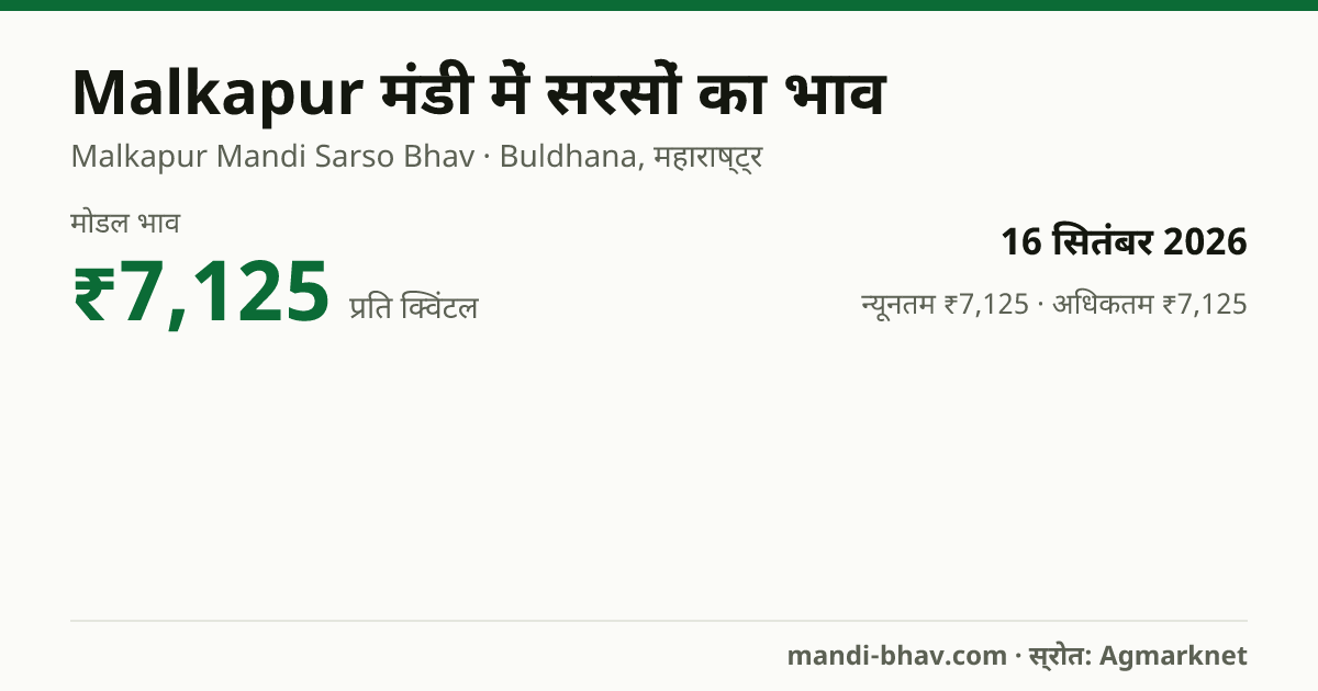 Malkapur मंडी में सरसों का भाव 16 सितंबर 2026: मोडल ₹7,125 प्रति क्विंटल, भाव के रुझान का चार्ट