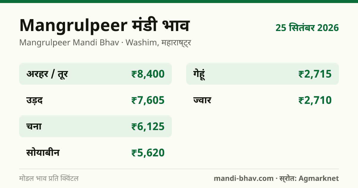 Mangrulpeer मंडी भाव 25 सितंबर 2026: फसलवार मोडल रेट प्रति क्विंटल