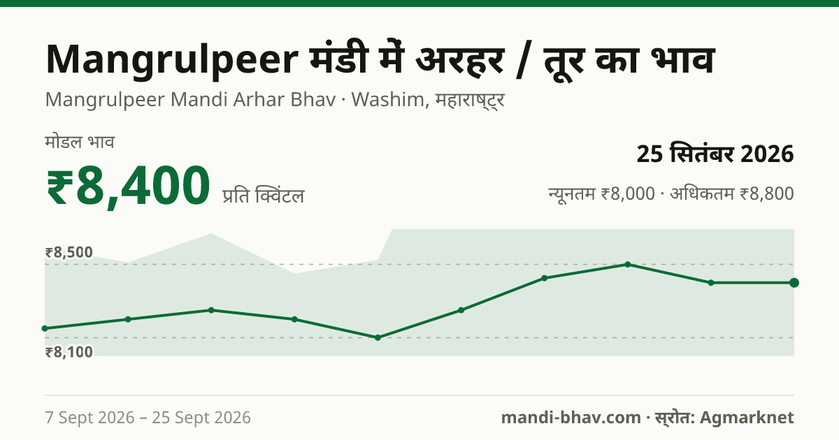 Mangrulpeer मंडी में अरहर / तूर का भाव 25 सितंबर 2026: मोडल ₹8,400 प्रति क्विंटल, भाव के रुझान का चार्ट