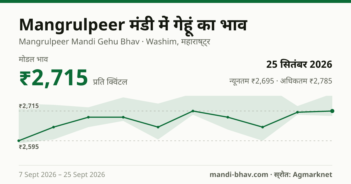Mangrulpeer मंडी में गेहूं का भाव 25 सितंबर 2026: मोडल ₹2,715 प्रति क्विंटल, भाव के रुझान का चार्ट