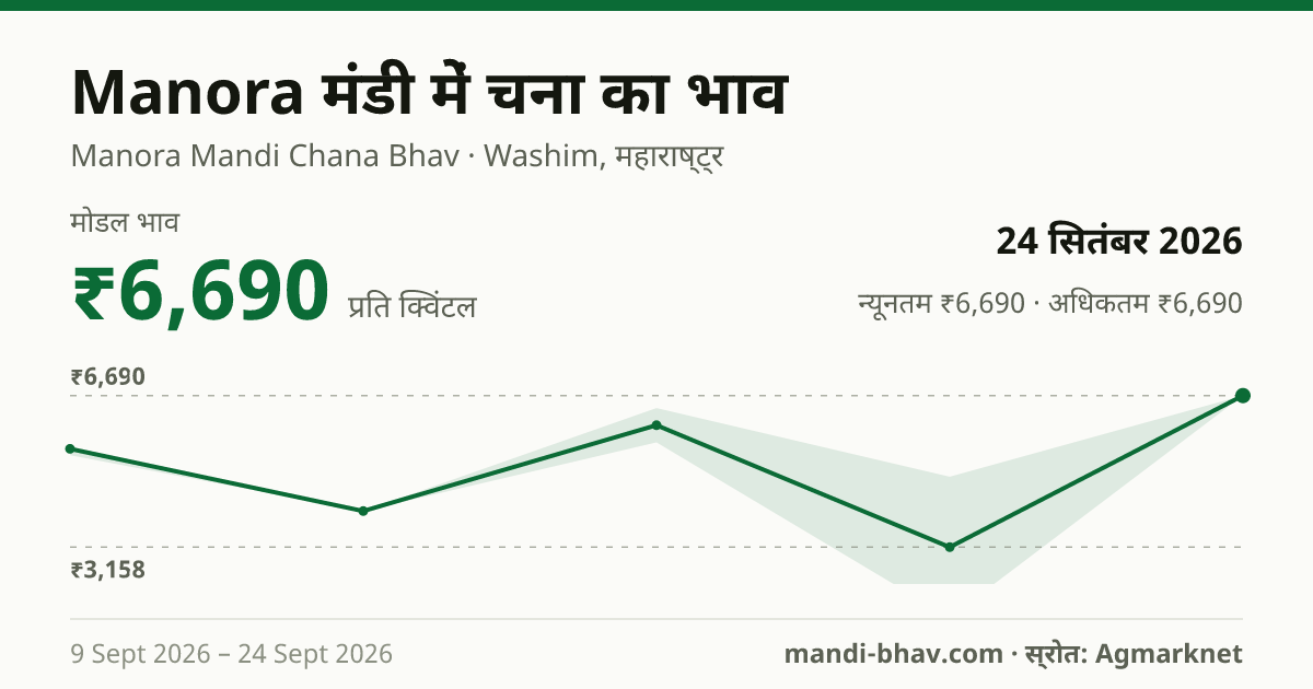 Manora मंडी में चना का भाव 24 सितंबर 2026: मोडल ₹6,690 प्रति क्विंटल, भाव के रुझान का चार्ट
