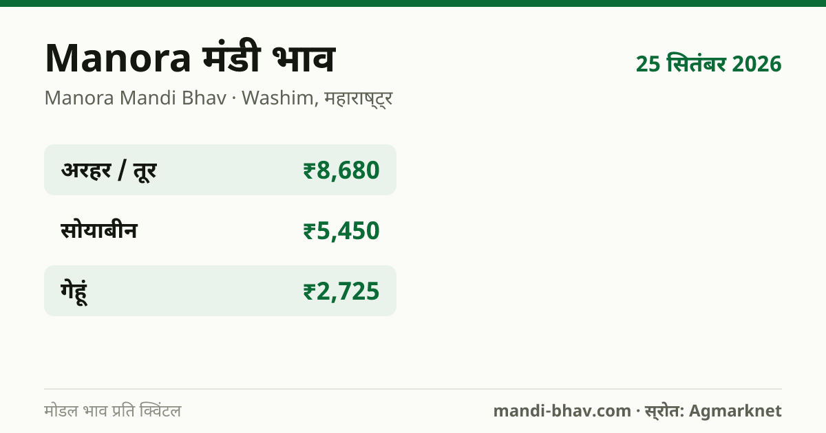 Manora मंडी भाव 25 सितंबर 2026: फसलवार मोडल रेट प्रति क्विंटल