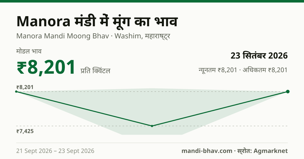 Manora मंडी में मूंग का भाव 23 सितंबर 2026: मोडल ₹8,201 प्रति क्विंटल, भाव के रुझान का चार्ट