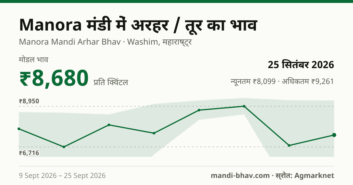 Manora मंडी में अरहर / तूर का भाव 25 सितंबर 2026: मोडल ₹8,680 प्रति क्विंटल, भाव के रुझान का चार्ट