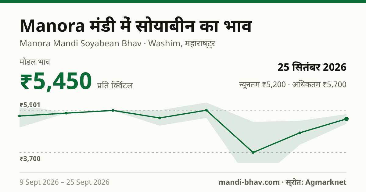 Manora मंडी में सोयाबीन का भाव 25 सितंबर 2026: मोडल ₹5,450 प्रति क्विंटल, भाव के रुझान का चार्ट