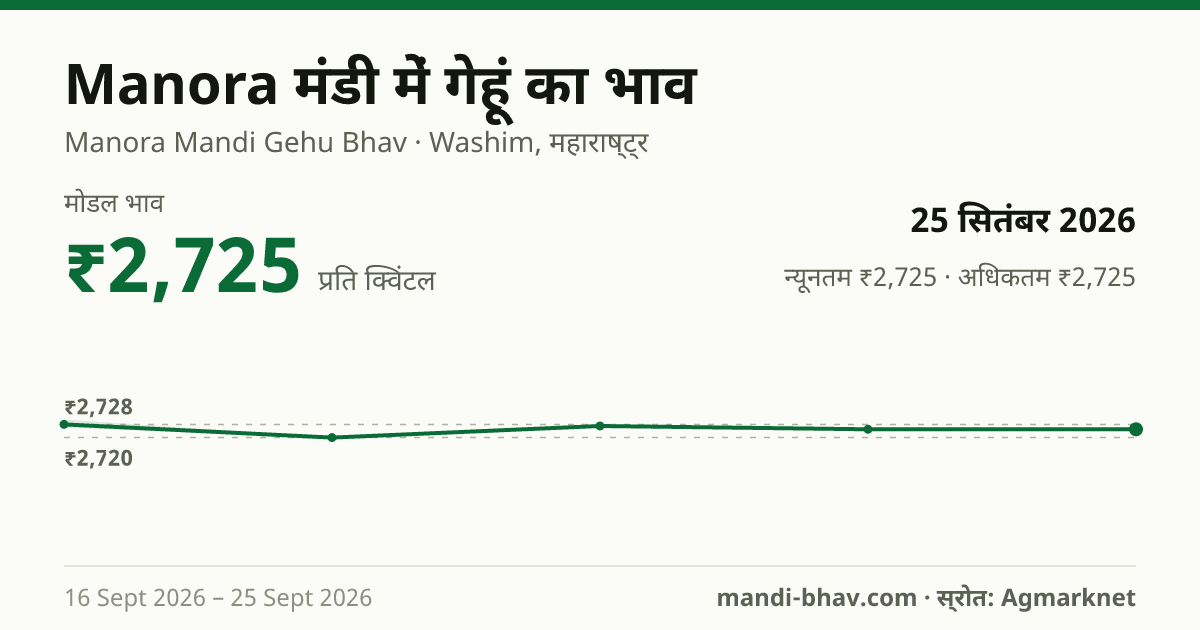 Manora मंडी में गेहूं का भाव 25 सितंबर 2026: मोडल ₹2,725 प्रति क्विंटल, भाव के रुझान का चार्ट
