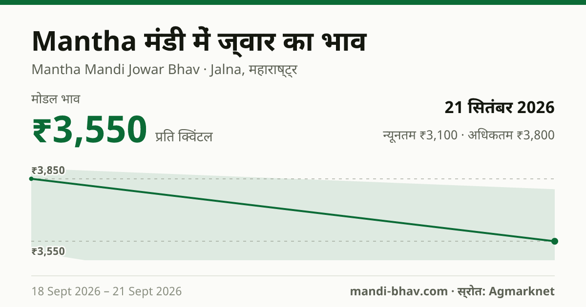 Mantha मंडी में ज्वार का भाव 21 सितंबर 2026: मोडल ₹3,550 प्रति क्विंटल, भाव के रुझान का चार्ट