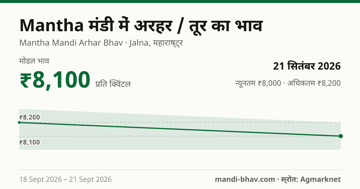 Mantha मंडी में अरहर / तूर का भाव 21 सितंबर 2026: मोडल ₹8,100 प्रति क्विंटल, भाव के रुझान का चार्ट
