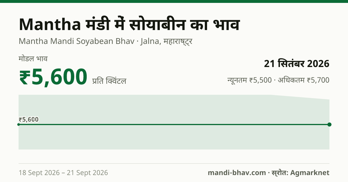 Mantha मंडी में सोयाबीन का भाव 21 सितंबर 2026: मोडल ₹5,600 प्रति क्विंटल, भाव के रुझान का चार्ट