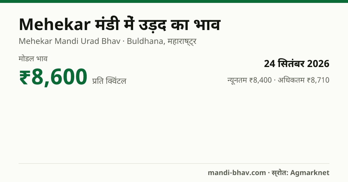 Mehekar मंडी में उड़द का भाव 24 सितंबर 2026: मोडल ₹8,600 प्रति क्विंटल, भाव के रुझान का चार्ट