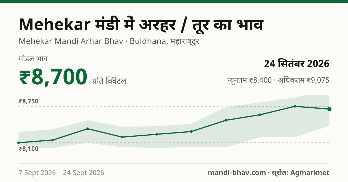 Mehekar मंडी में अरहर / तूर का भाव 24 सितंबर 2026: मोडल ₹8,700 प्रति क्विंटल, भाव के रुझान का चार्ट