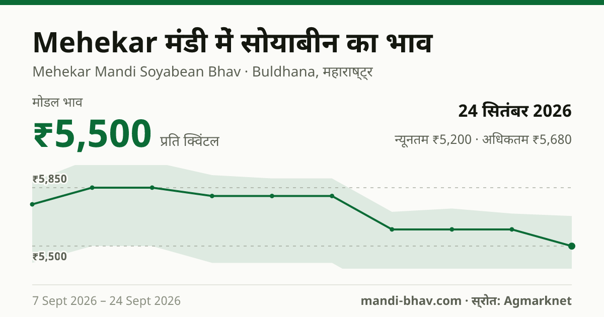 Mehekar मंडी में सोयाबीन का भाव 24 सितंबर 2026: मोडल ₹5,500 प्रति क्विंटल, भाव के रुझान का चार्ट
