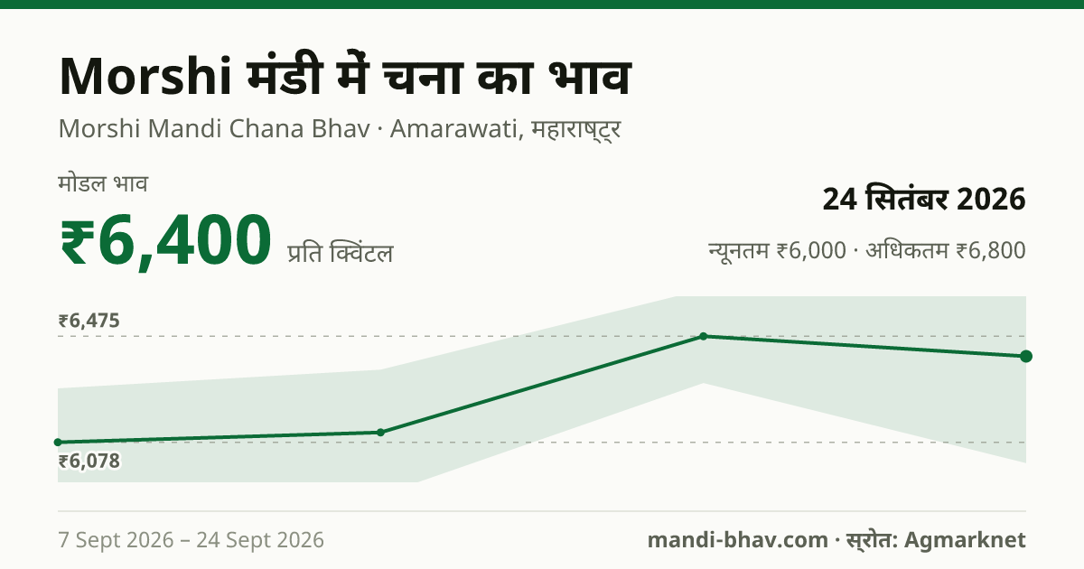 Morshi मंडी में चना का भाव 24 सितंबर 2026: मोडल ₹6,400 प्रति क्विंटल, भाव के रुझान का चार्ट