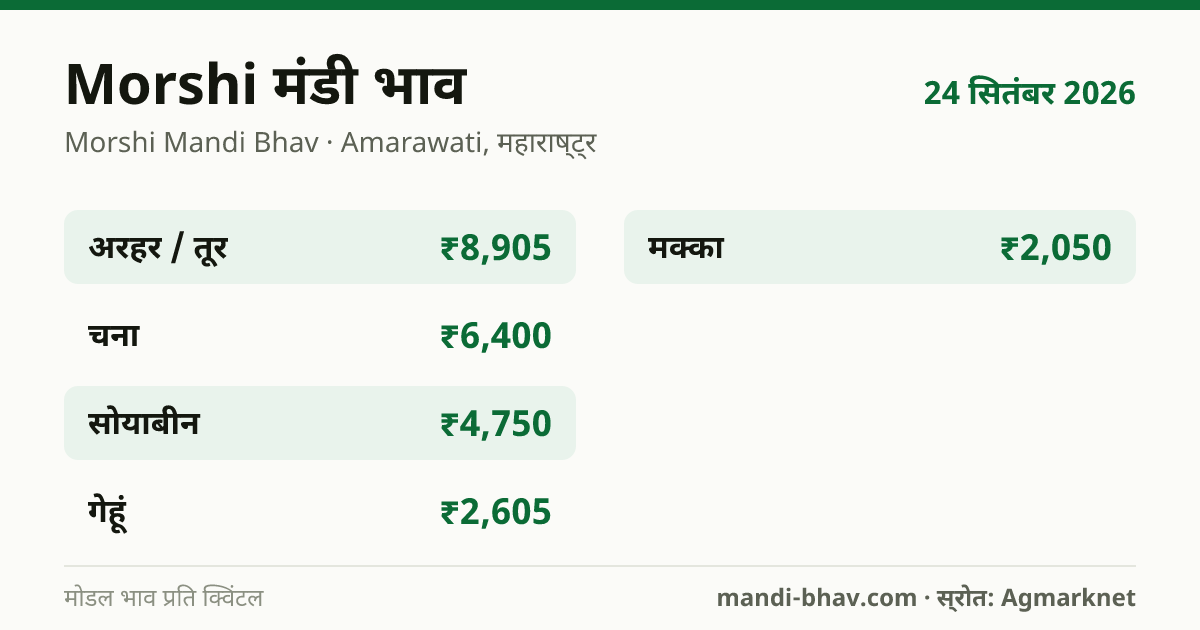 Morshi मंडी भाव 24 सितंबर 2026: फसलवार मोडल रेट प्रति क्विंटल