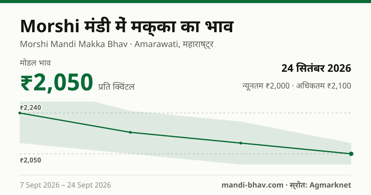 Morshi मंडी में मक्का का भाव 24 सितंबर 2026: मोडल ₹2,050 प्रति क्विंटल, भाव के रुझान का चार्ट
