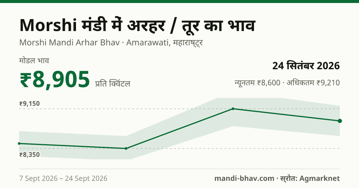 Morshi मंडी में अरहर / तूर का भाव 24 सितंबर 2026: मोडल ₹8,905 प्रति क्विंटल, भाव के रुझान का चार्ट