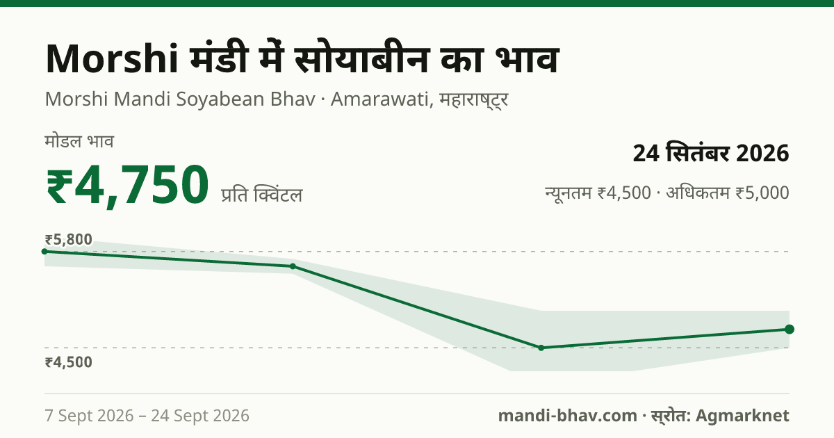 Morshi मंडी में सोयाबीन का भाव 24 सितंबर 2026: मोडल ₹4,750 प्रति क्विंटल, भाव के रुझान का चार्ट