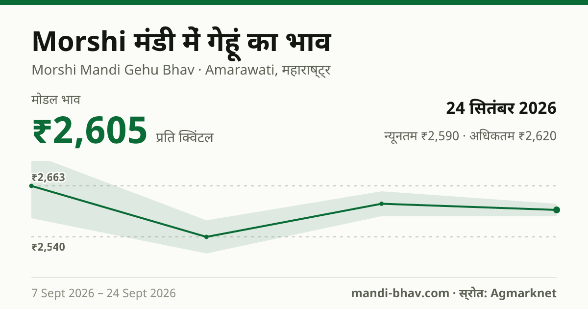 Morshi मंडी में गेहूं का भाव 24 सितंबर 2026: मोडल ₹2,605 प्रति क्विंटल, भाव के रुझान का चार्ट