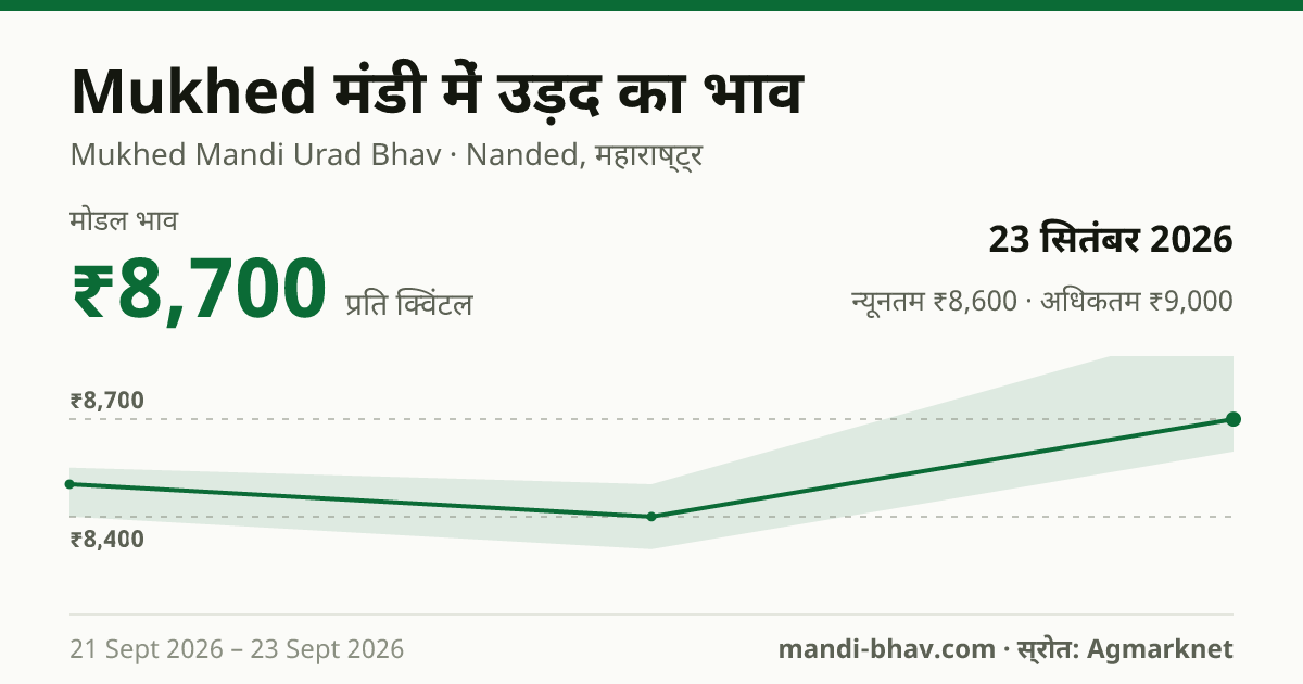 Mukhed मंडी में उड़द का भाव 23 सितंबर 2026: मोडल ₹8,700 प्रति क्विंटल, भाव के रुझान का चार्ट