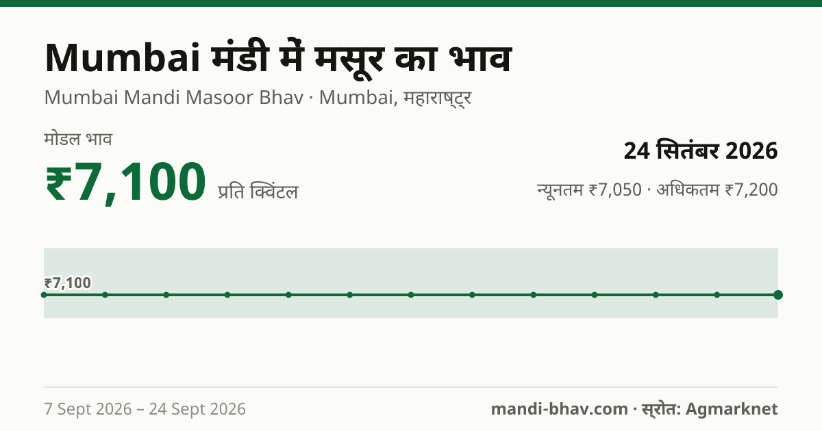 Mumbai मंडी में मसूर का भाव 24 सितंबर 2026: मोडल ₹7,100 प्रति क्विंटल, भाव के रुझान का चार्ट