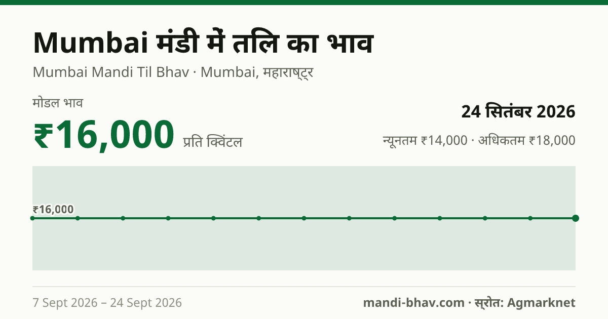 Mumbai मंडी में तिल का भाव 24 सितंबर 2026: मोडल ₹16,000 प्रति क्विंटल, भाव के रुझान का चार्ट