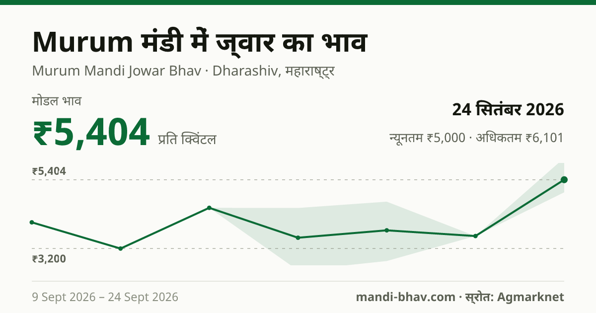 Murum मंडी में ज्वार का भाव 24 सितंबर 2026: मोडल ₹5,404 प्रति क्विंटल, भाव के रुझान का चार्ट