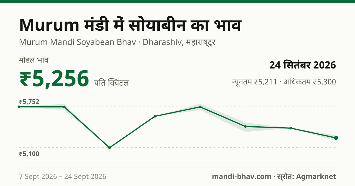 Murum मंडी में सोयाबीन का भाव 24 सितंबर 2026: मोडल ₹5,256 प्रति क्विंटल, भाव के रुझान का चार्ट