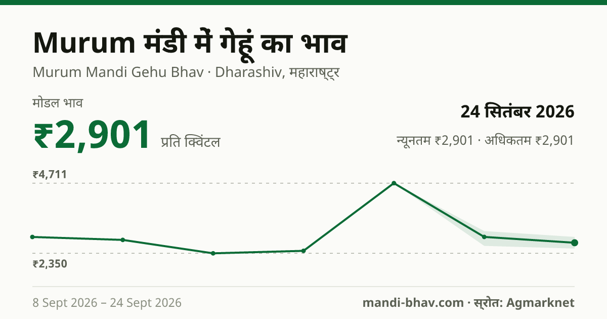 Murum मंडी में गेहूं का भाव 24 सितंबर 2026: मोडल ₹2,901 प्रति क्विंटल, भाव के रुझान का चार्ट