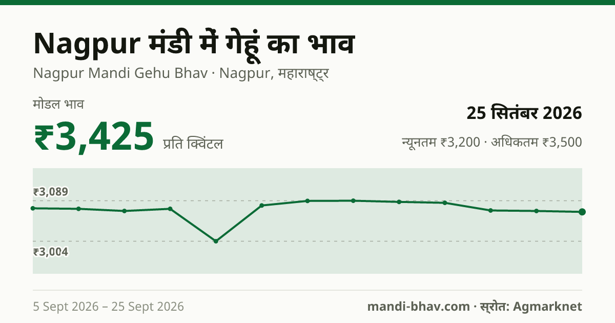 Nagpur मंडी में गेहूं का भाव 25 सितंबर 2026: मोडल ₹3,425 प्रति क्विंटल, भाव के रुझान का चार्ट