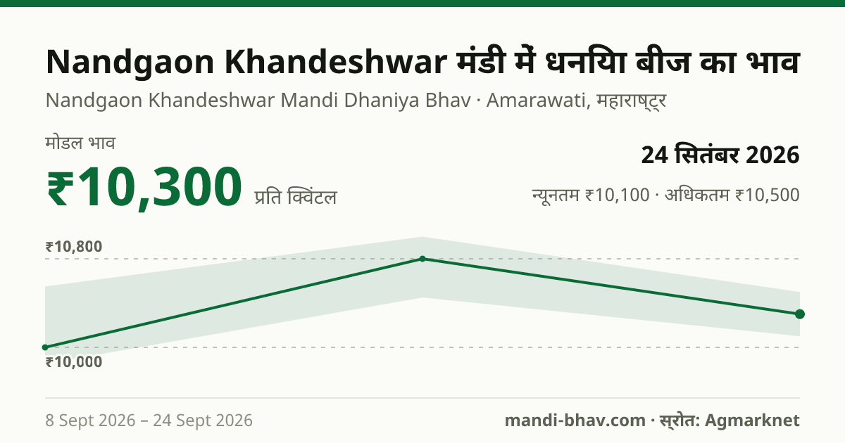 Nandgaon Khandeshwar मंडी में धनिया बीज का भाव 24 सितंबर 2026: मोडल ₹10,300 प्रति क्विंटल, भाव के रुझान का चार्ट
