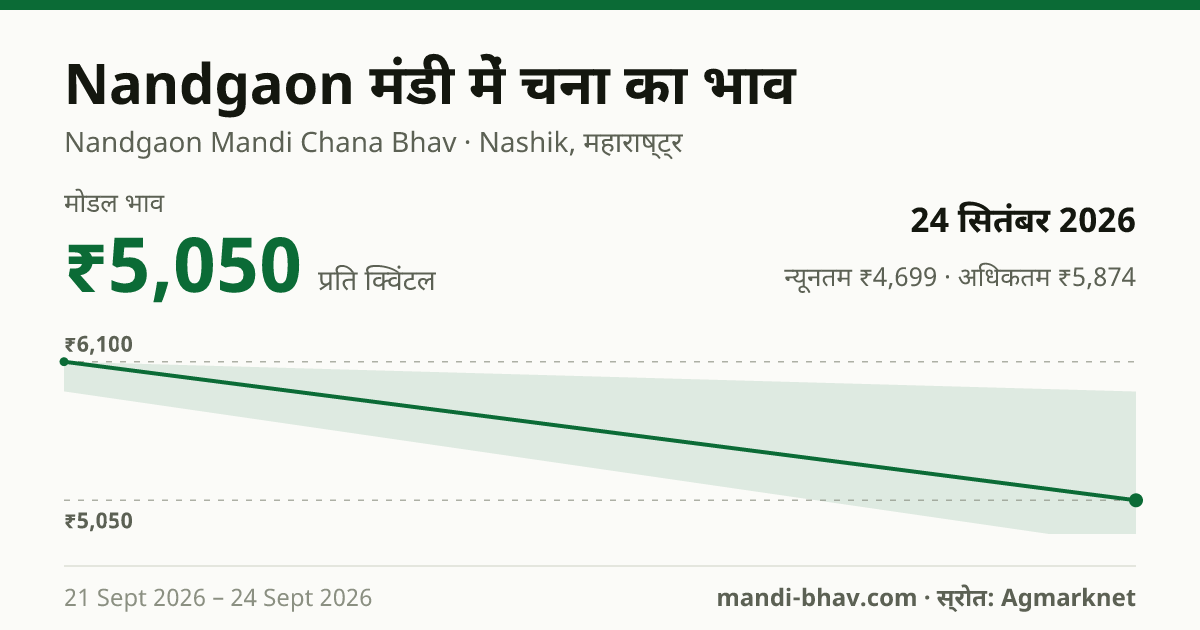 Nandgaon मंडी में चना का भाव 24 सितंबर 2026: मोडल ₹5,050 प्रति क्विंटल, भाव के रुझान का चार्ट