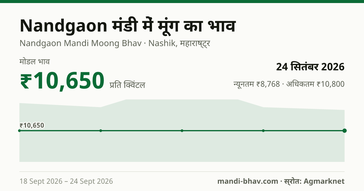Nandgaon मंडी में मूंग का भाव 24 सितंबर 2026: मोडल ₹10,650 प्रति क्विंटल, भाव के रुझान का चार्ट