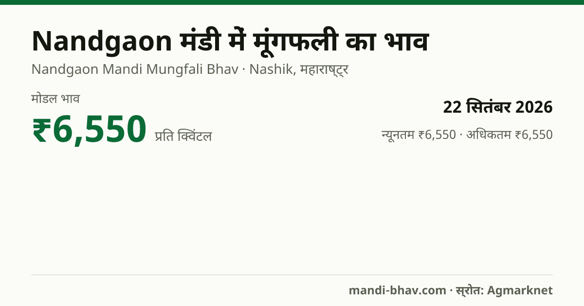 Nandgaon मंडी में मूंगफली का भाव 22 सितंबर 2026: मोडल ₹6,550 प्रति क्विंटल, भाव के रुझान का चार्ट