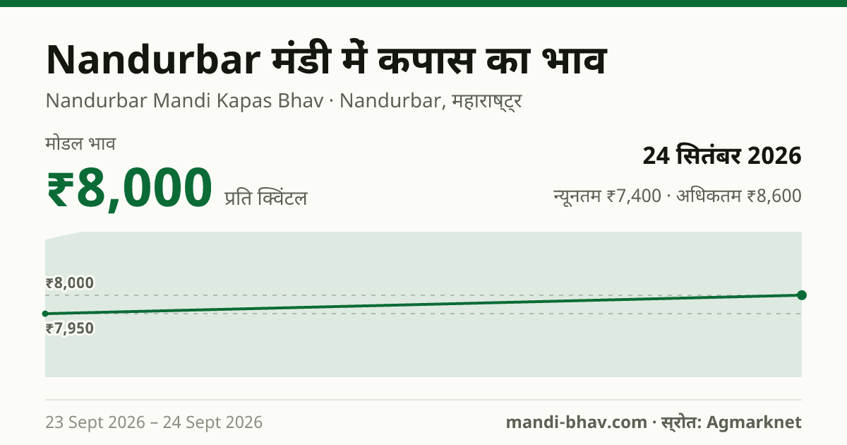 Nandurbar मंडी में कपास का भाव 24 सितंबर 2026: मोडल ₹8,000 प्रति क्विंटल, भाव के रुझान का चार्ट