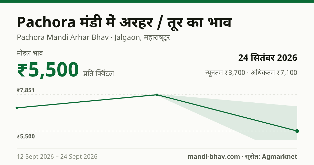 Pachora मंडी में अरहर / तूर का भाव 24 सितंबर 2026: मोडल ₹5,500 प्रति क्विंटल, भाव के रुझान का चार्ट